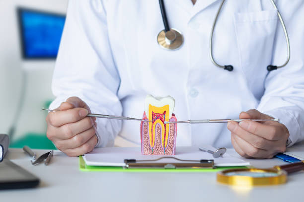 Best Emergency Dental Care for Broken or Chipped Teeth in Ferndale, WA